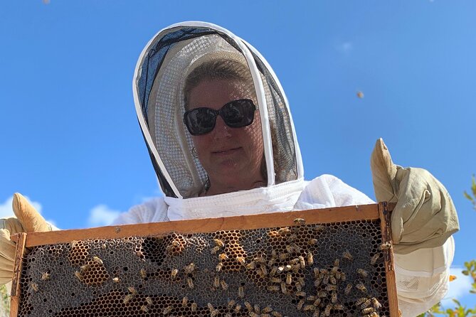 Reagan’s Honey Beekeeping Adventure - Opening an active hive with Jamaal