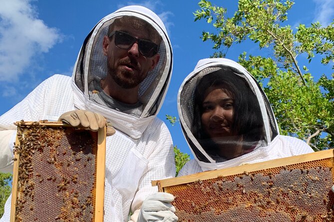 Reagan’s Honey Beekeeping Adventure - Honey straight from the comb
