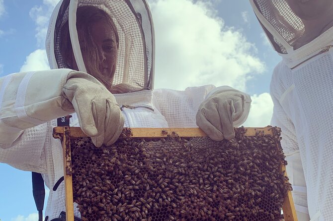 Reagan’s Honey Beekeeping Adventure - Timing, weather, and practical details
