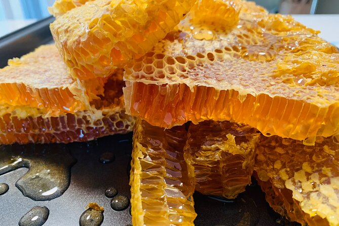 Reagan’s Honey Beekeeping Adventure - Walking the apiary and tropical woodland