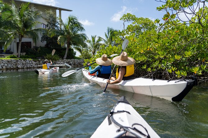 Small Group Glass Bottom Kayak Adventure- Cayman Islands - Paddling into Grand Cayman’s mangrove waterways