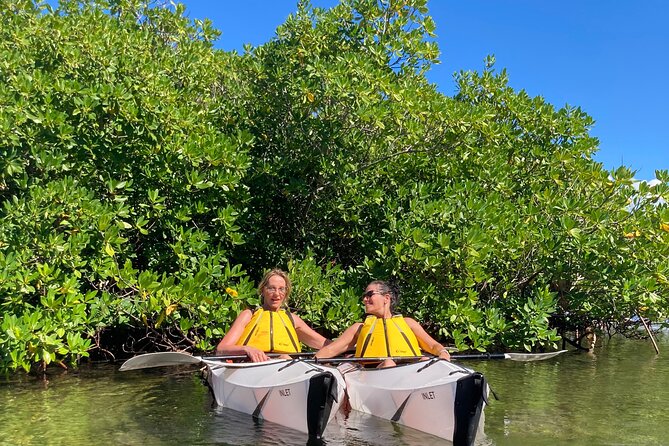 Small Group Glass Bottom Kayak Adventure- Cayman Islands - Weather, comfort, and what can change