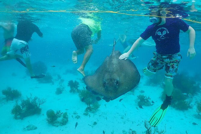 Starfish Point, Stingray City & Coral Garden (3-STOP Adventure) - Stingray City: the main event in 40 minutes