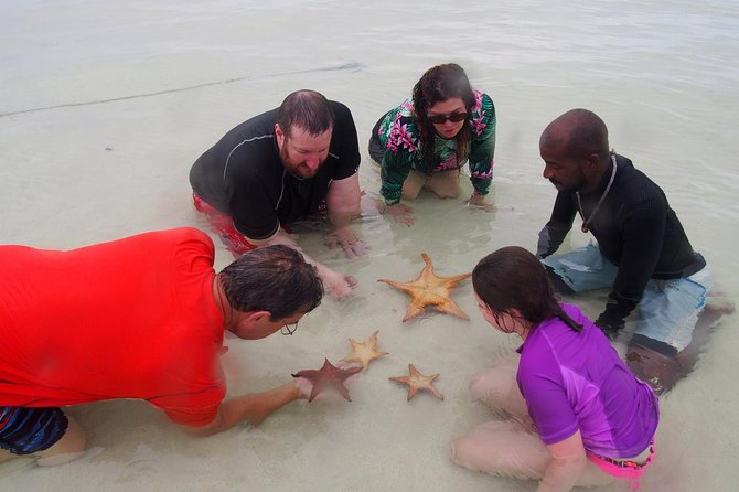 Starfish Point, Stingray City & Coral Garden (3-STOP Adventure) - What the $80 price really buys you