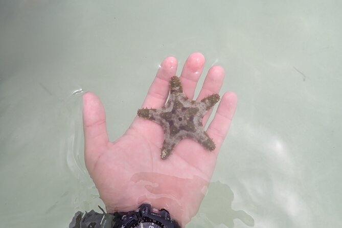 Starfish Point, Stingray City & Coral Garden (3-STOP Adventure) - Practical packing advice