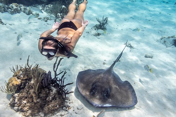 Starfish Point, Stingray City-Sandbar & Coral Gardens - What the boat ride adds to the morning