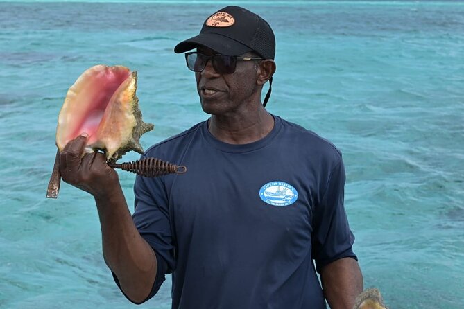 Stingray City and Snorkel Tour With Lunch - Who should book this excursion