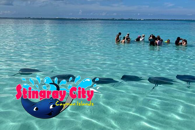 Stingray City and Starfish Experience with Coral Reef Snorkeling - What the $65 price really covers