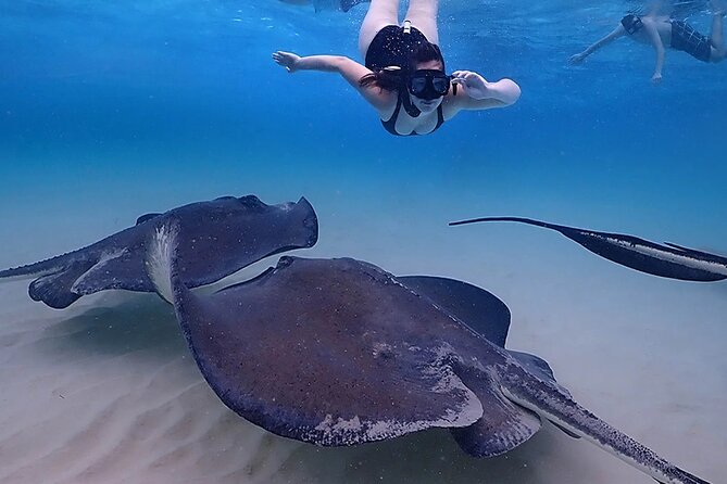 Stingray City and Starfish Experience with Coral Reef Snorkeling - Pickup, cruise timing, and the return trip