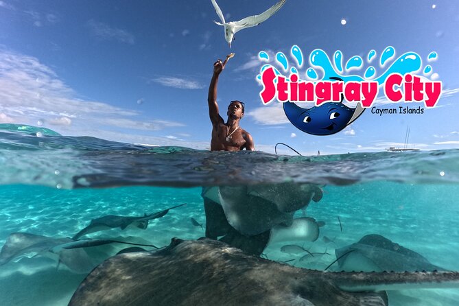 Stingray City and Starfish Experience with Coral Reef Snorkeling - Coral Gardens: reef fish and colorful coral