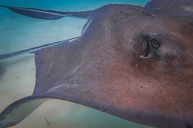 Stingray City Catamaran Sunset Tour - What the sunset adds, and what it cannot guarantee