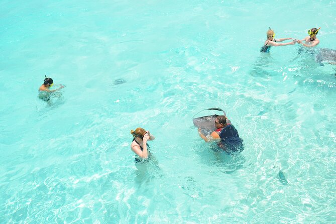 Stingray City, Coral Gardens & Frankie's Local Lunch & Juice - A Caymanian lunch at Frankie’s Local Food & Juice