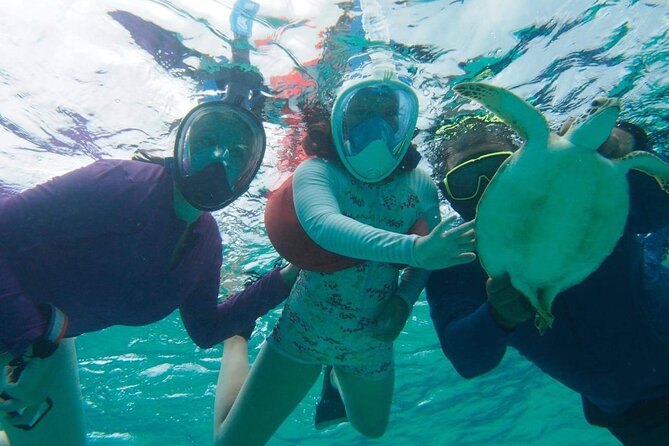 Stingray City Experience Plus One Snorkeling Stop - What is included, and what you should pack