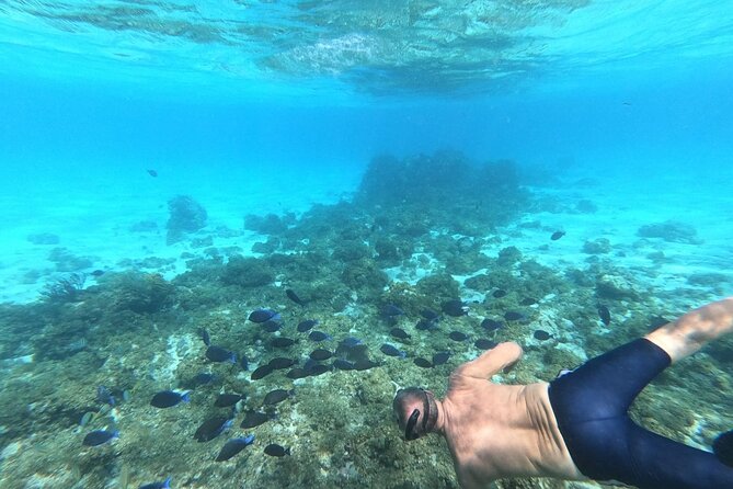 Stingray City, Star fish Point and Snorkeling Private Boat Tour - Boat comfort, weather, and realistic expectations