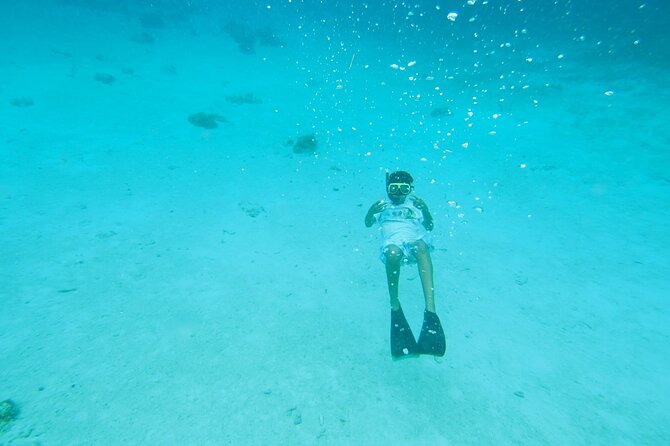 StingrayCity ,Coral Garden & Starfish Tour. - Coral Gardens and the snorkeling stop