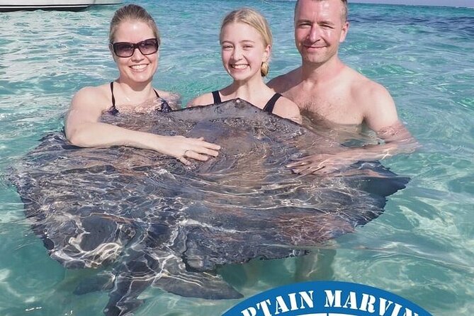 Stingrays, Starfish and Snorkeling Tour - Coral Gardens or Barrier Reef for the snorkeling stop