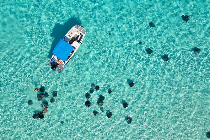 Sunrise at Stingray City, Private Tour - Why the 5:30 am start changes Stingray City