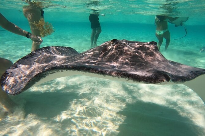Sunrise at Stingray City, Private Tour - Sunrise views add more than a photo