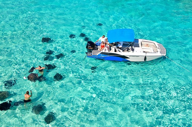 Sunrise at Stingray City, Private Tour - What the private format is worth at $500