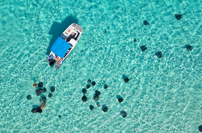 Sunrise at Stingray City, Private Tour - FAQ