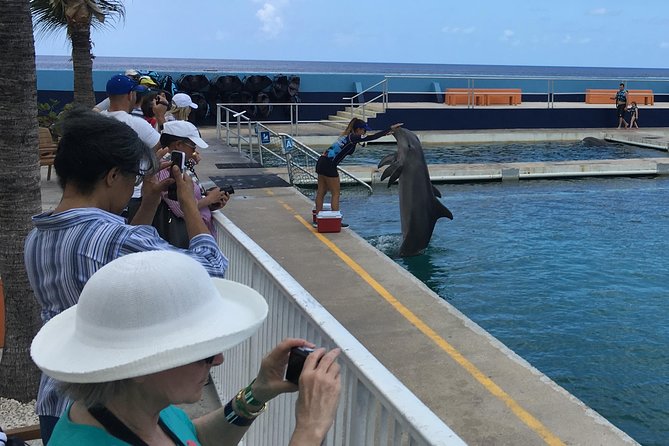 West Bay Sightseeing Tour Plus Seven Mile Beach Visit - Tortuga Rum Factory starts the sightseeing